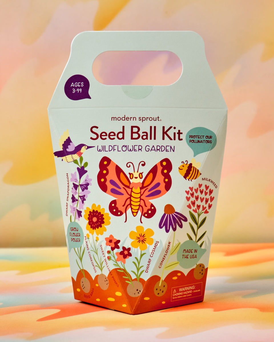 DIY Seed Ball Kit Wildflower Garden Crush