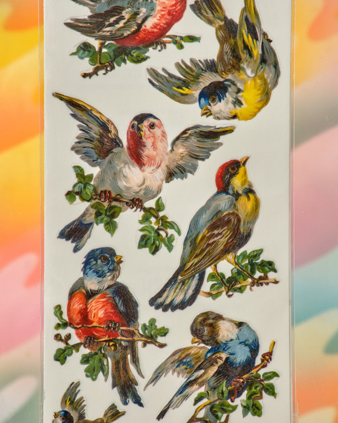 Victorian Songbird Stickers – Crush