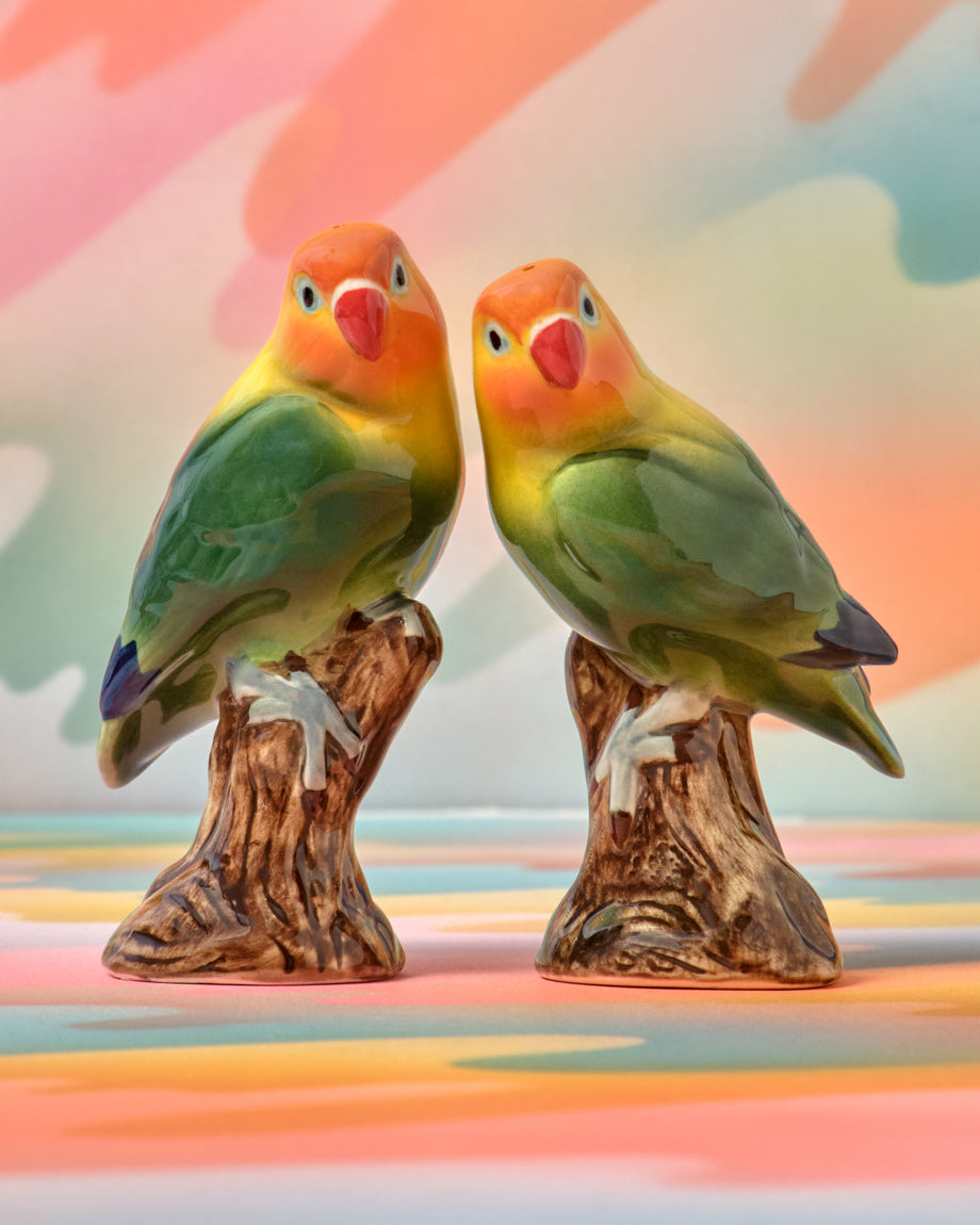 Love Birds Salt & Pepper Shaker Set – Crush