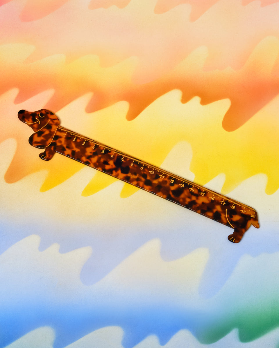 Dachshund Ruler – Crush