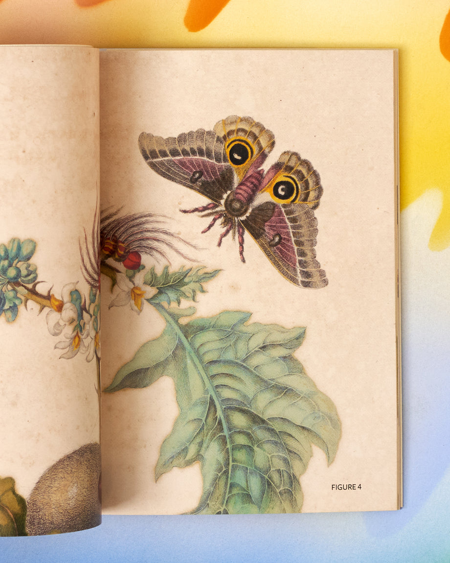 2021-a2377_460x@2x.jpg?v=