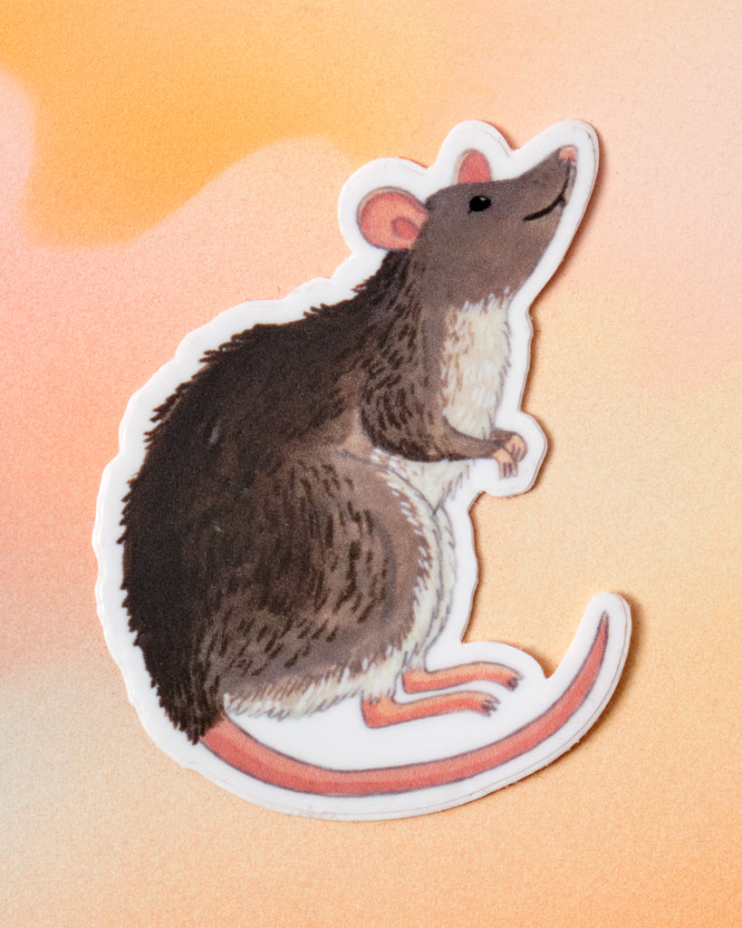 Sticker De Rata Colgada Rat Sticker – Crush