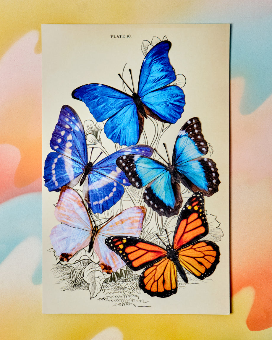 Butterfly Sketchbook & Drawing Set