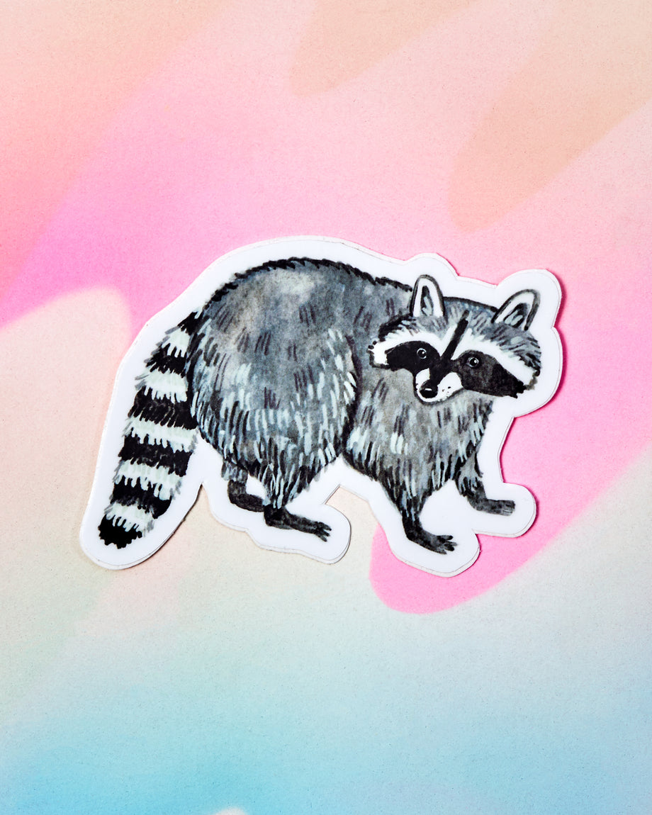 Raccoon Sticker – Crush